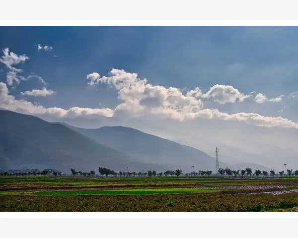 中医药：治愈气血不足的宝贵瑰宝与秘方