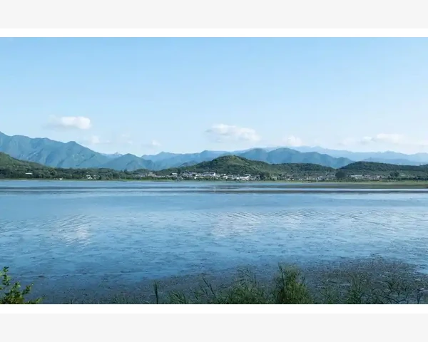 注册会计师实务工作全流程实战解析